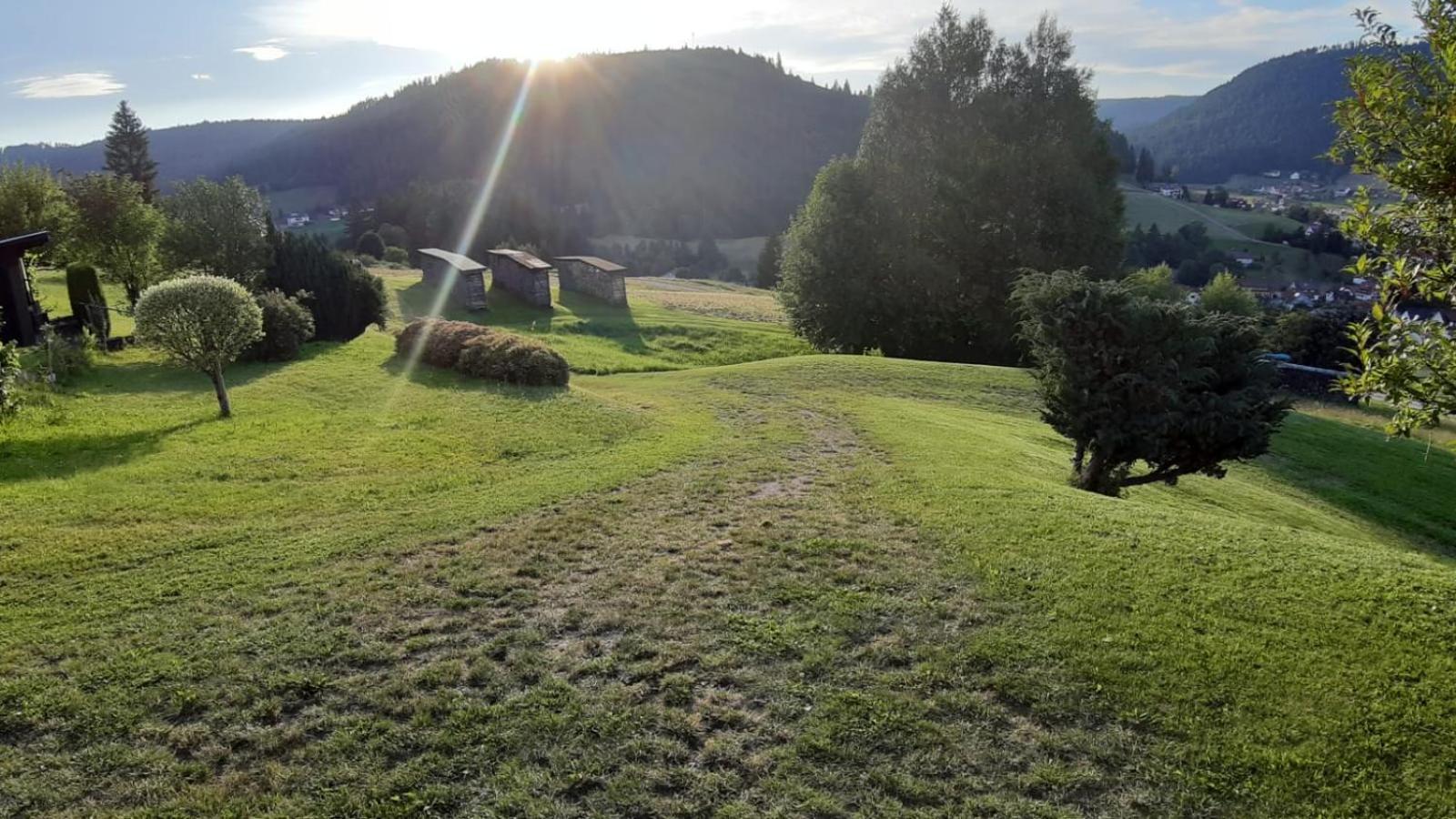 Ferienhaus Seefried Baiersbronn Luaran gambar